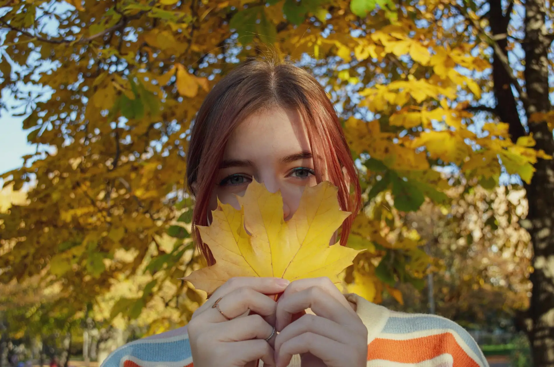 A young woman playfully holding yellow maple leaves against a backdrop of fall foliage.